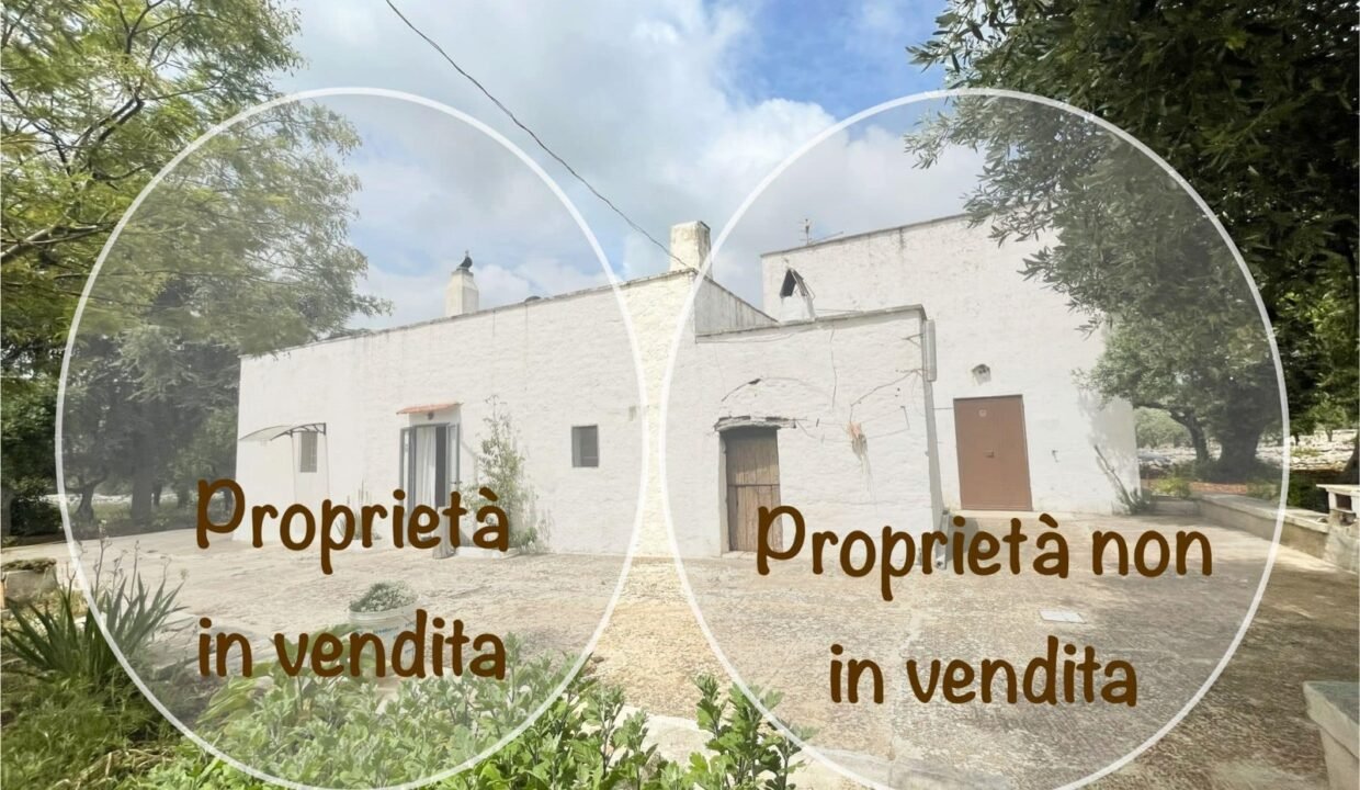 immobile-vendesi-contrada-romanelli-monopoli-apulia-case (13)