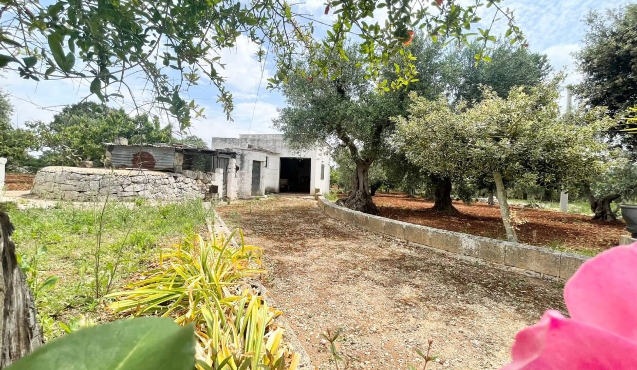 immobile-vendesi-contrada-romanelli-monopoli-apulia-case (3)