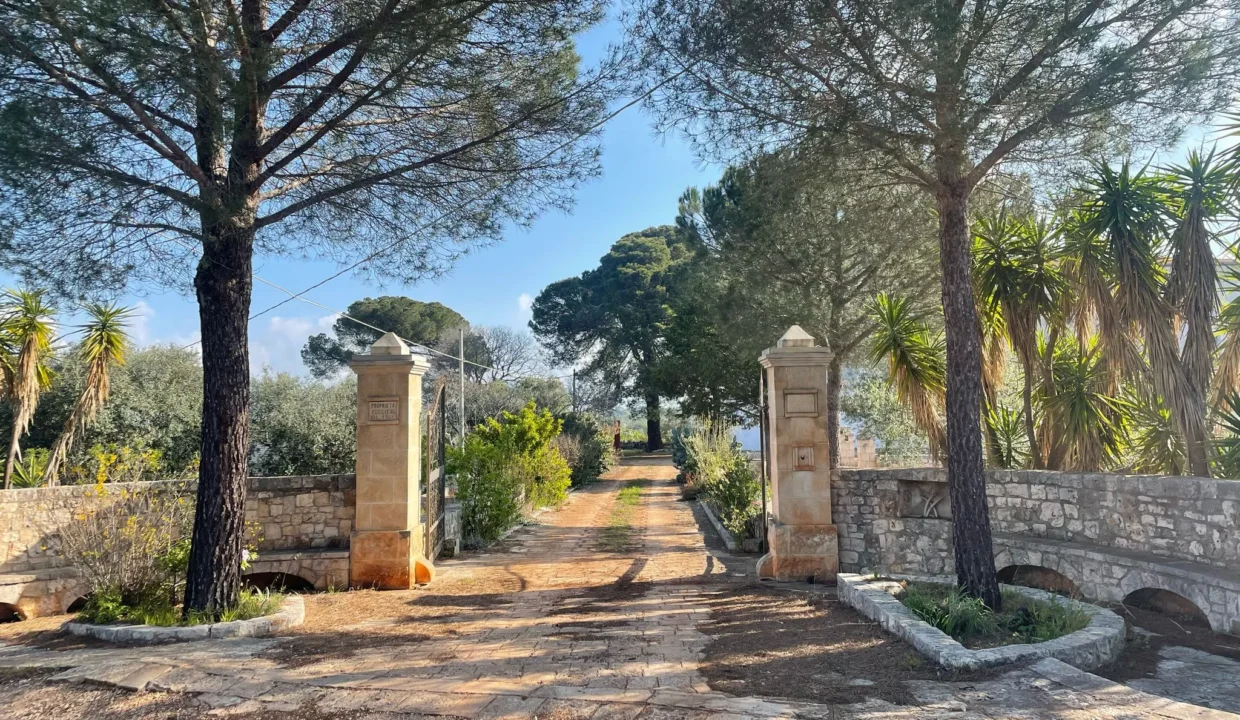 immobile-vendesi-contrada-selvafina-polignano-a-mare-apulia-case (27)