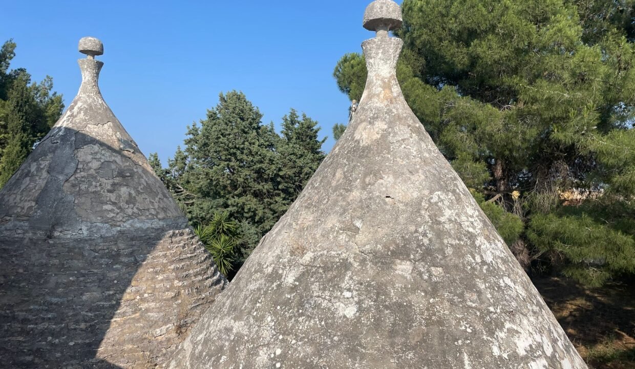 immobile-vendesi-via-alberobello-castellana-apulia-case (13)