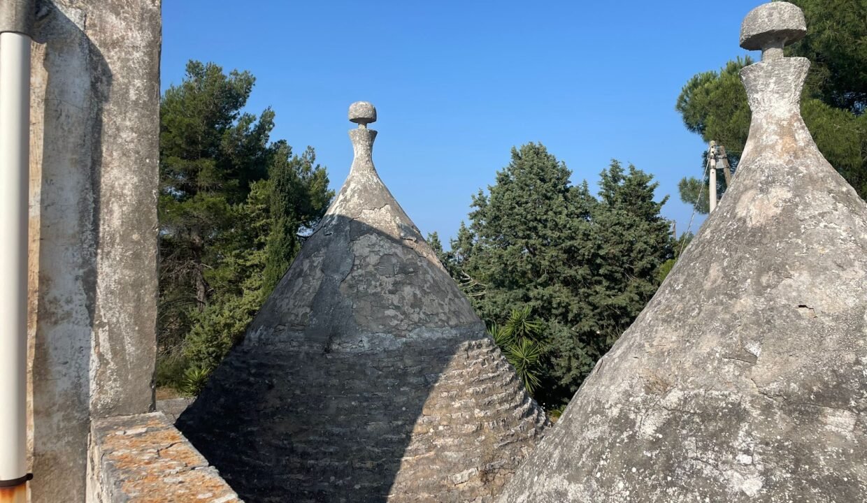 immobile-vendesi-via-alberobello-castellana-apulia-case (3)