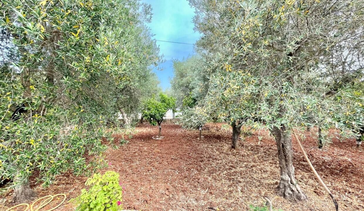 immobile-vendesi-contrada-san-gerardo-monopoli-apulia-case (16)