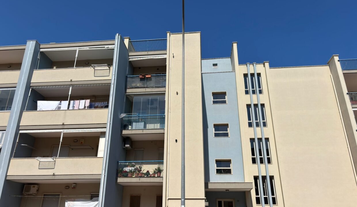 WhatsApp Image 2026-03-30 at 16.30.07 (3)