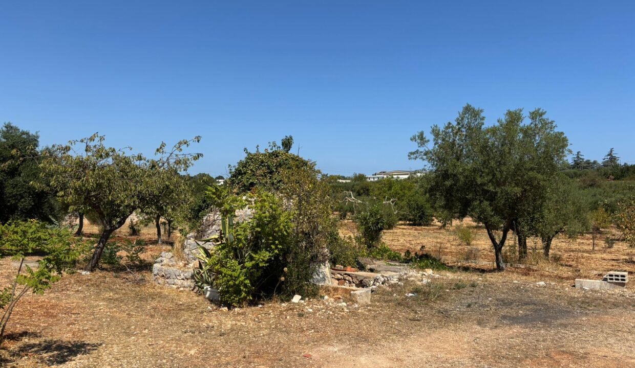 immobile-vendesi-contrada-san-bartolomeo-monopoli-apulia-case (29)