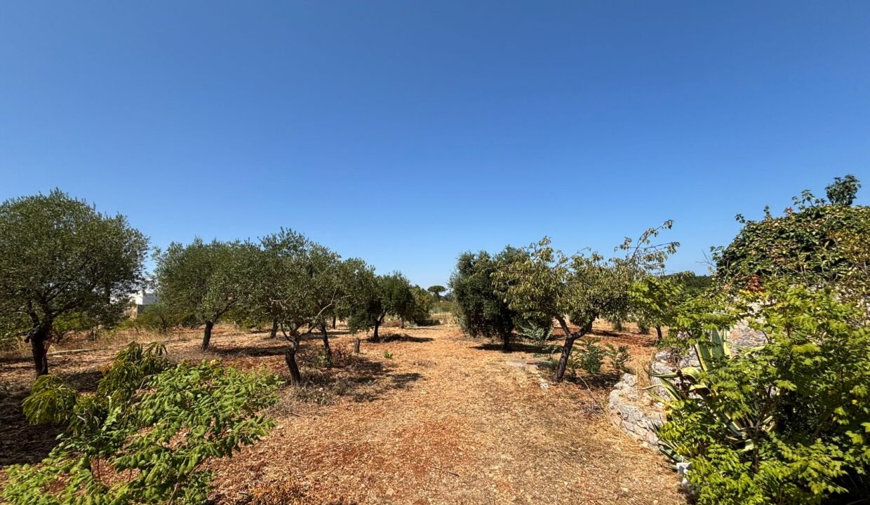 immobile-vendesi-contrada-san-bartolomeo-monopoli-apulia-case (34)