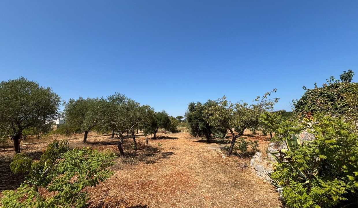 immobile-vendesi-contrada-san-bartolomeo-monopoli-apulia-case (35)