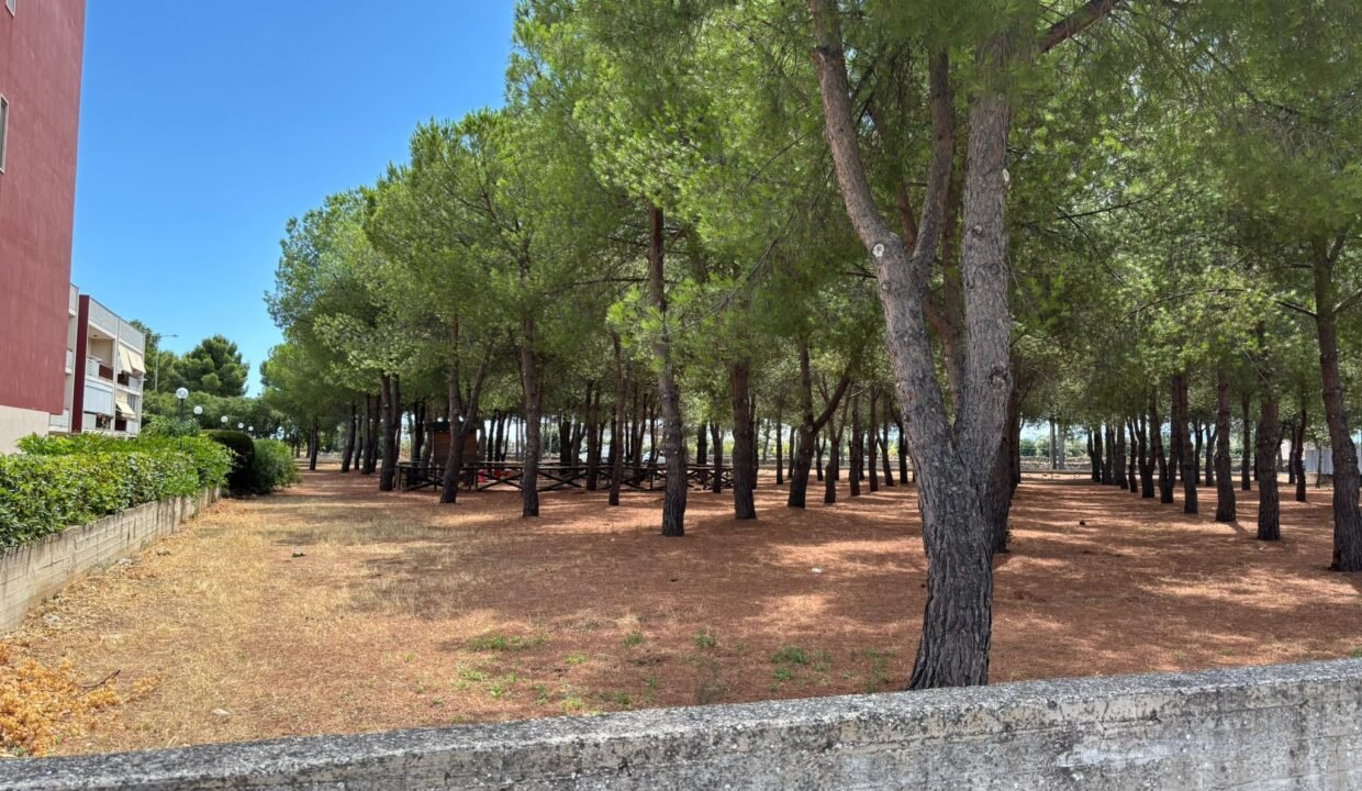 immobile-vendesi-via-monterisi-monopoli-apulia-case (4)