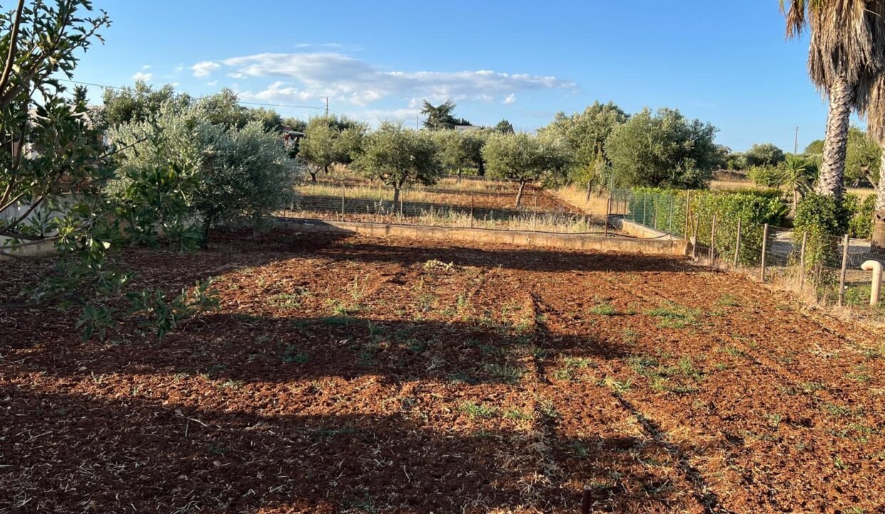 immobile-vendesi-contrada-chiesa-nuova-polignano-a-mare-apulia-case (47)