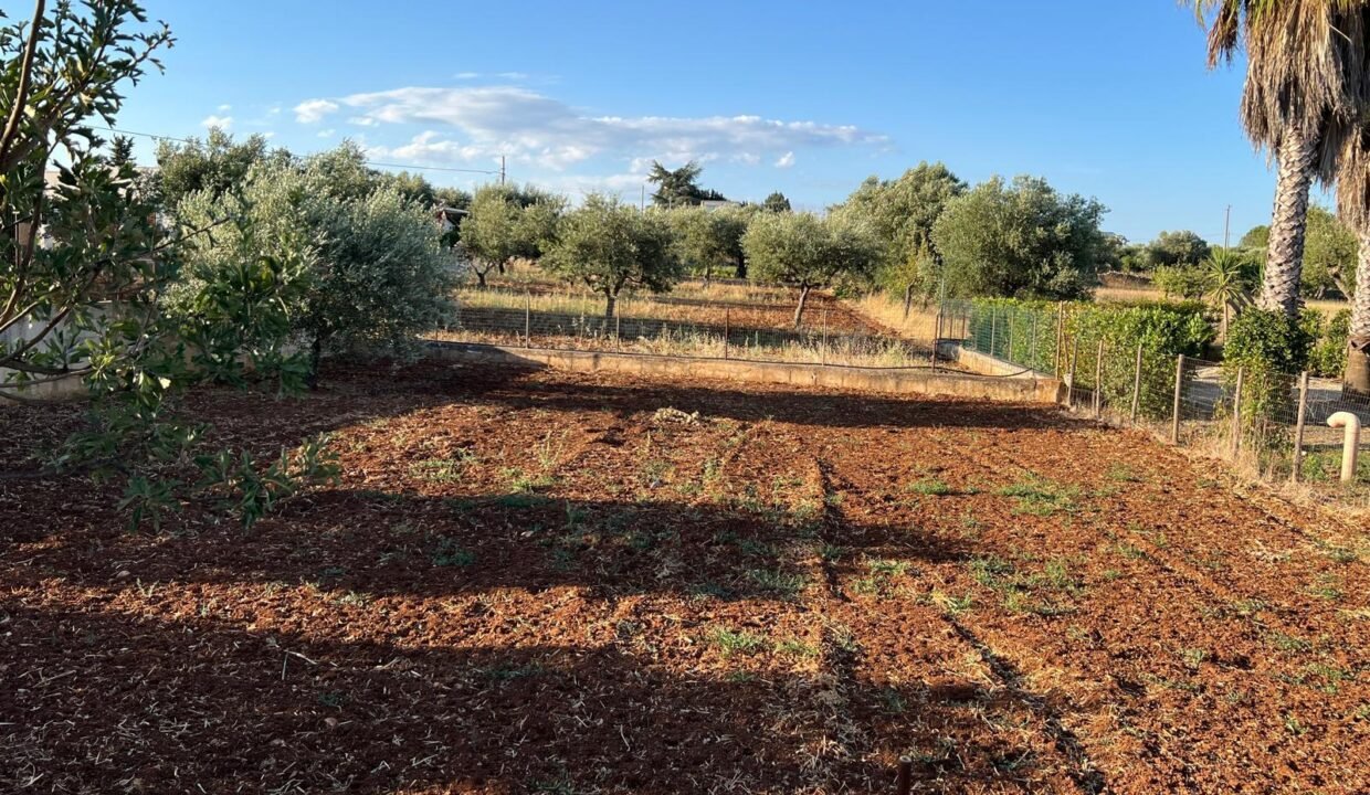 immobile-vendesi-contrada-chiesa-nuova-polignano-a-mare-apulia-case (48)