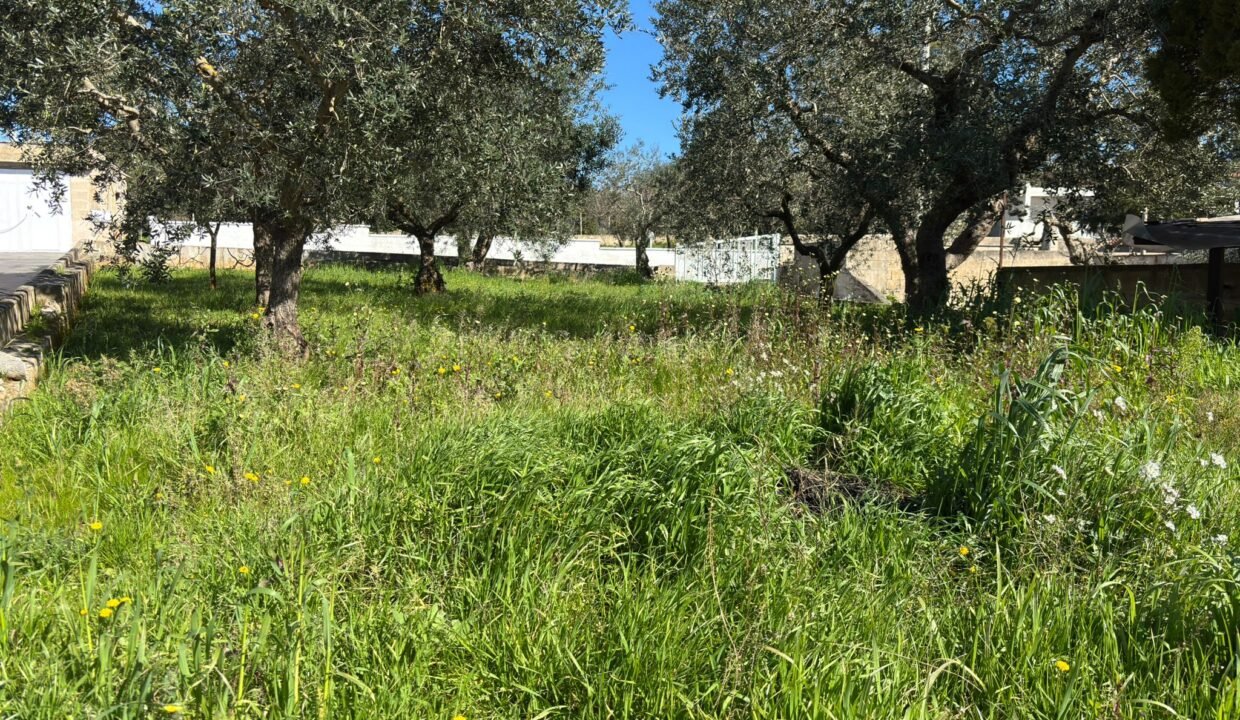 immobile-vendesi-contrada-gorgofreddo-monopoli-apulia-case (18)