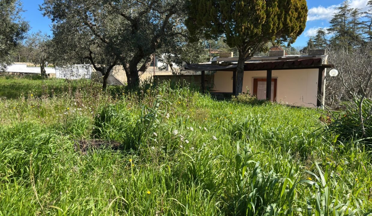 immobile-vendesi-contrada-gorgofreddo-monopoli-apulia-case (20)