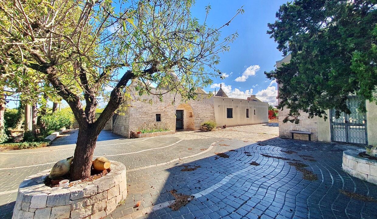 immobile-vendesi-strada-monte-tre-carlini-alberobello-apulia-case (14)