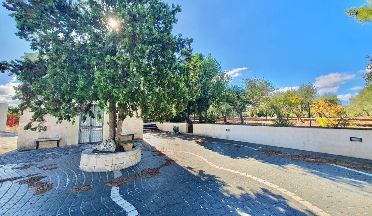 immobile-vendesi-strada-monte-tre-carlini-alberobello-apulia-case (33)