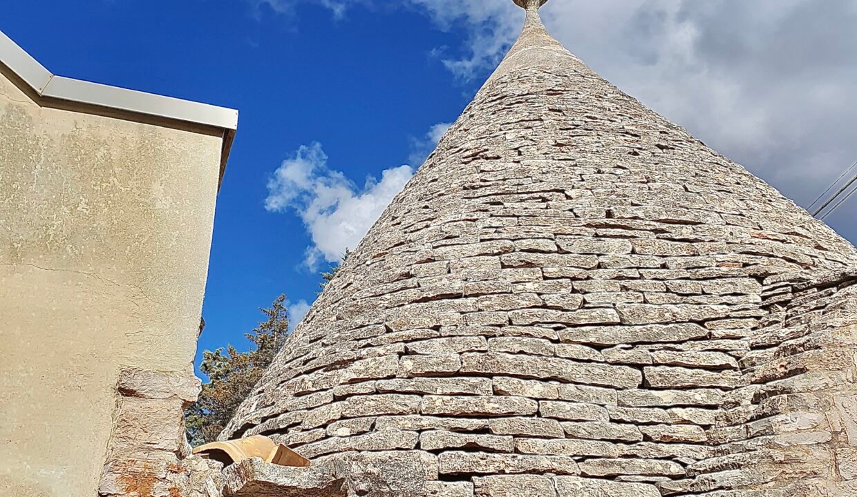 immobile-vendesi-strada-monte-tre-carlini-alberobello-apulia-case (9)