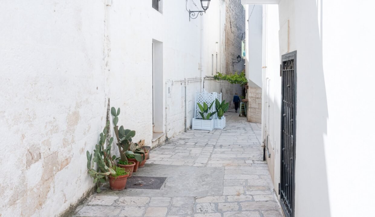 immobile-vendesi-via-muraglia-polignano-a-mare-apulia-case (18)