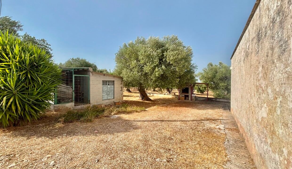 immobile-vendesi-contrada-monte-la-vecchia-monopoli-apulia-case (3)