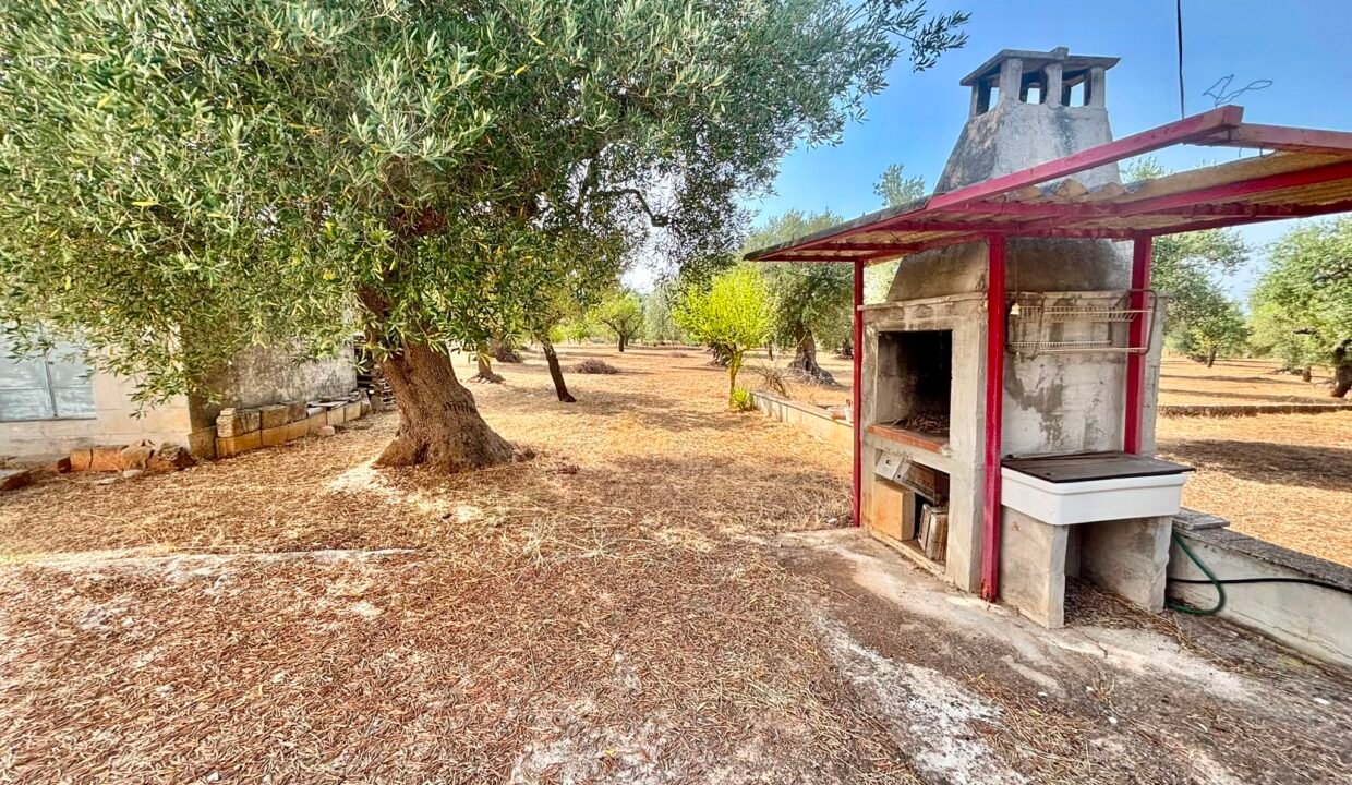 immobile-vendesi-contrada-monte-la-vecchia-monopoli-apulia-case (4)