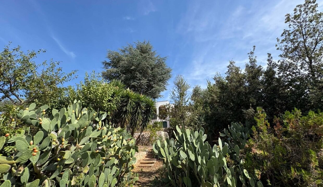 immobile-vendesi-contrada-torre-moscia-selva-di-fasano-apulia-case (13)