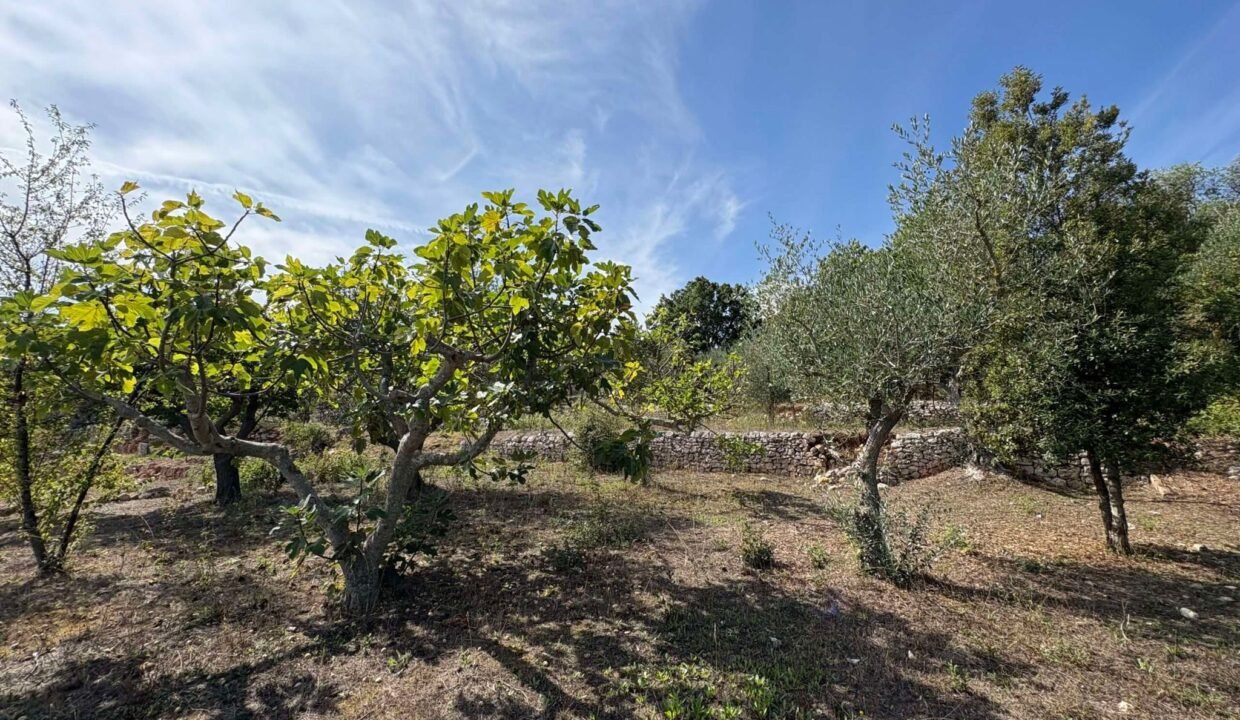 immobile-vendesi-contrada-torre-moscia-selva-di-fasano-apulia-case (5)