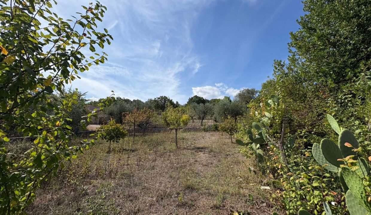 immobile-vendesi-contrada-torre-moscia-selva-di-fasano-apulia-case (8)
