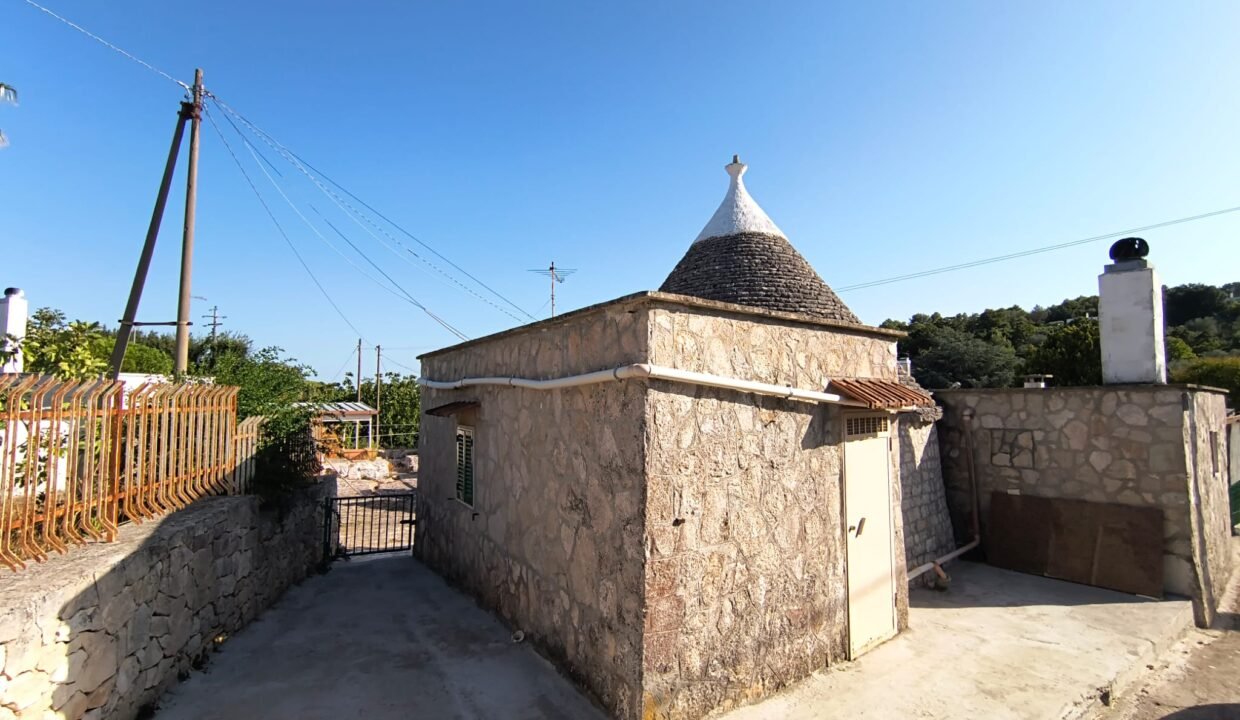 immobile-vendesi-contrada-torre-moscia-selva-di-fasano-apulia-case (9)