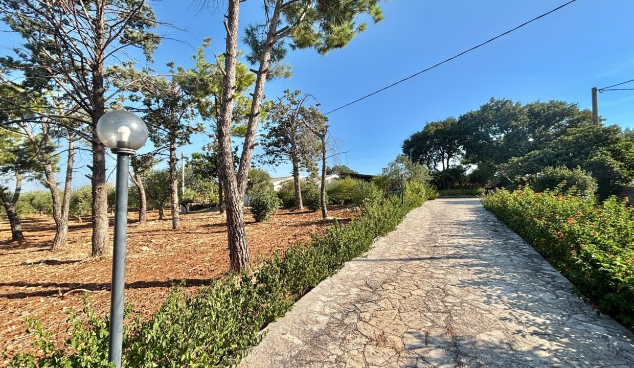 villa-vendesi-contrada-sant-oceano-monopoli-apulia-case (3)