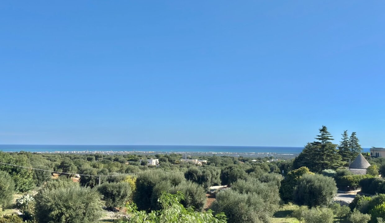 immobile-vendesi-contrada-bellocchio-monopoli-apulia-case (62)