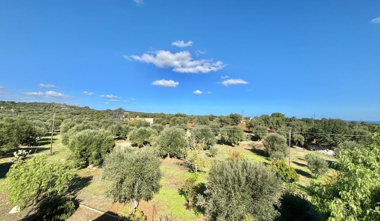 immobile-vendesi-contrada-bellocchio-monopoli-apulia-case (66)