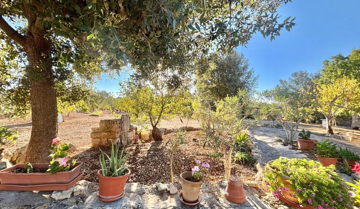 immobile-vendesi-contrada-foncio-noci-apulia-case (14)